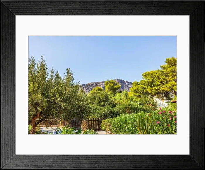 Framed Print : Lush garden with olive trees, flowering bushes, and view of rocky mountains under clear blue sky. Crete. Greece Framed Print : Lush garden with olive trees, flowering bushes, and view of rocky mountains under clear blue sky. Crete. Greece