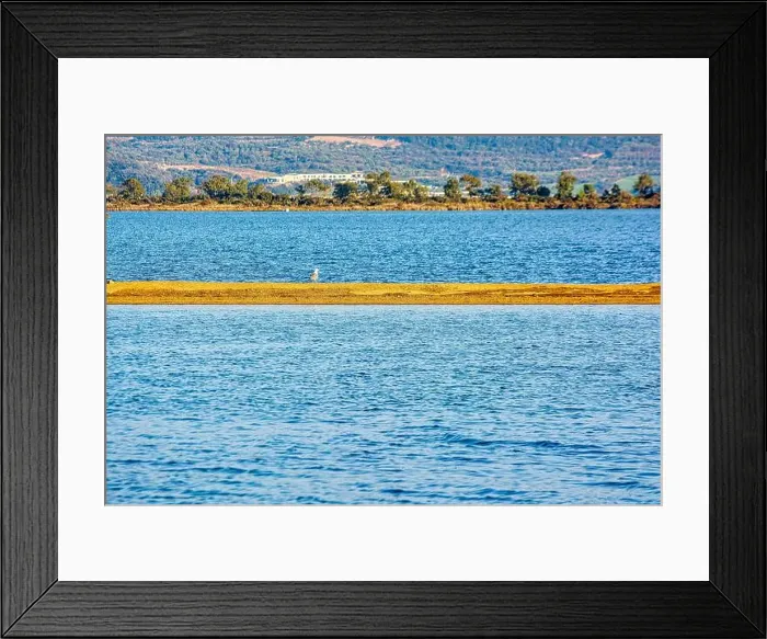 Framed Print : A seagull stands alone on a sandbar in the tranquil waters of Gialova Lagoon Framed Print : A seagull stands alone on a sandbar in the tranquil waters of Gialova Lagoon