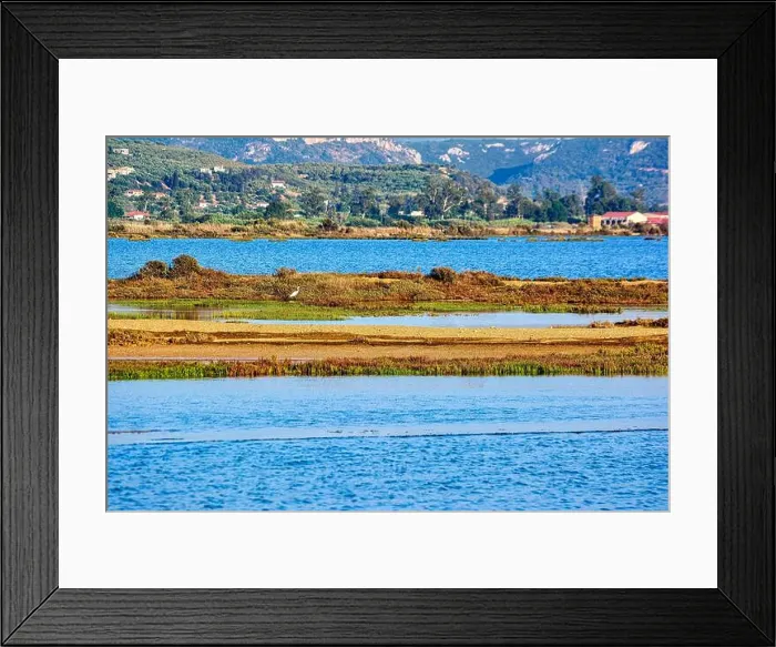 Framed Print : An egret stands in the marshy wetlands of Gialova Lagoon Framed Print : An egret stands in the marshy wetlands of Gialova Lagoon