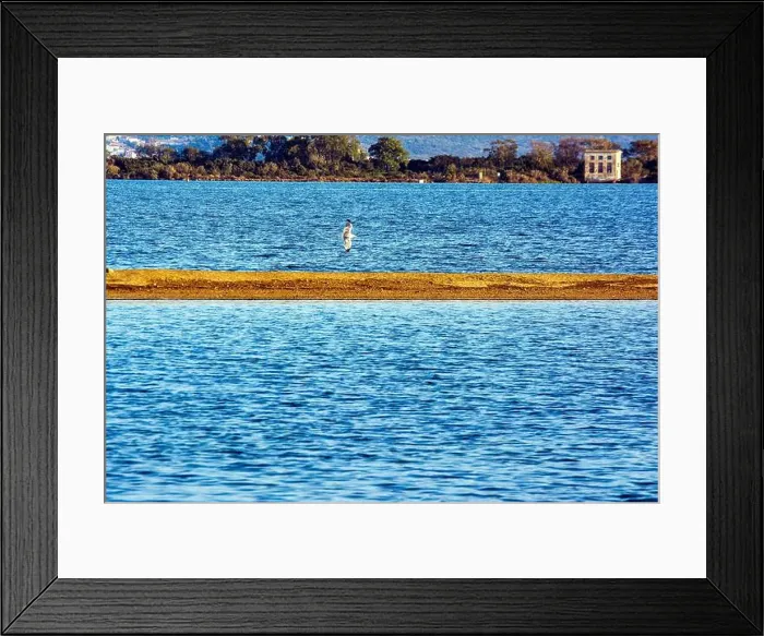 Framed Print : A seagull soars above a narrow sandbar at Gialova Lagoon, Greece, with calm waters and distant trees in the background