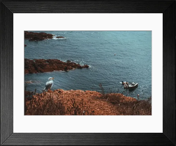 Framed Print : Travel in Berlengas, Portugal Framed Print : Travel in Berlengas, Portugal