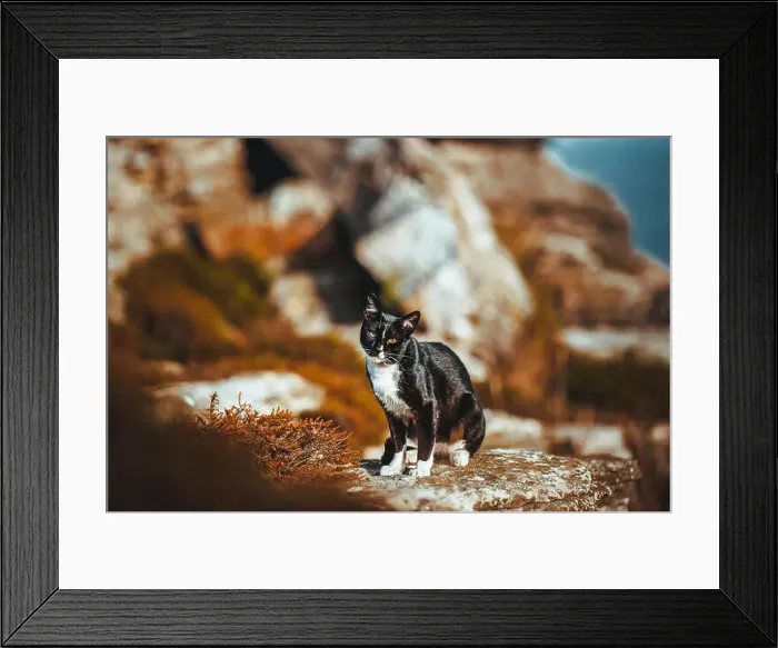 Framed Print : Travel in Peniche, Portugal