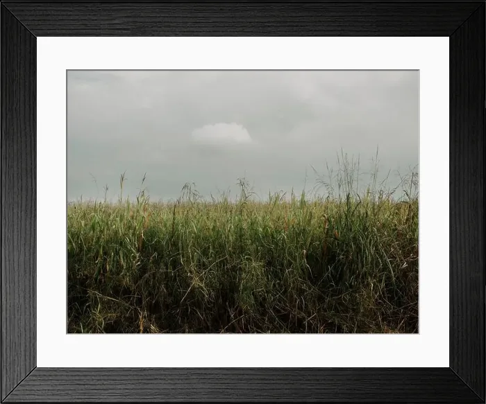 Framed Print : Agricultural landscape in the Po Valley near the city of Cuneo, in south-western Piedmont