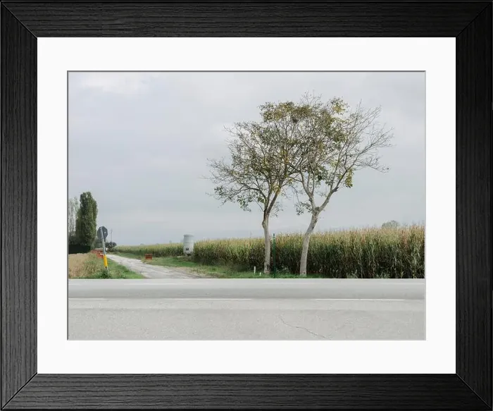Framed Print : Agricultural landscape in the Po Valley near the city of Cuneo, in south-western Piedmont