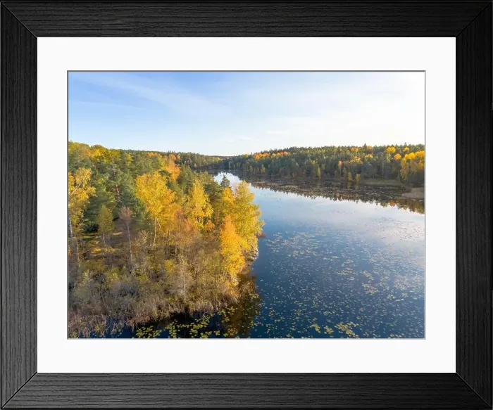 Framed Print : Aerial view of autumn forest landscape with yellow leaf trees by a blue calm lake in Sweden on a clear fall day Framed Print : Aerial view of autumn forest landscape with yellow leaf trees by a blue calm lake in Sweden on a clear fall day