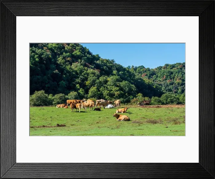 Framed Print : Beautiful scene in the Veio Regional Park, near Formello, Province of Rome, Lazio, Italy Framed Print : Beautiful scene in the Veio Regional Park, near Formello, Province of Rome, Lazio, Italy