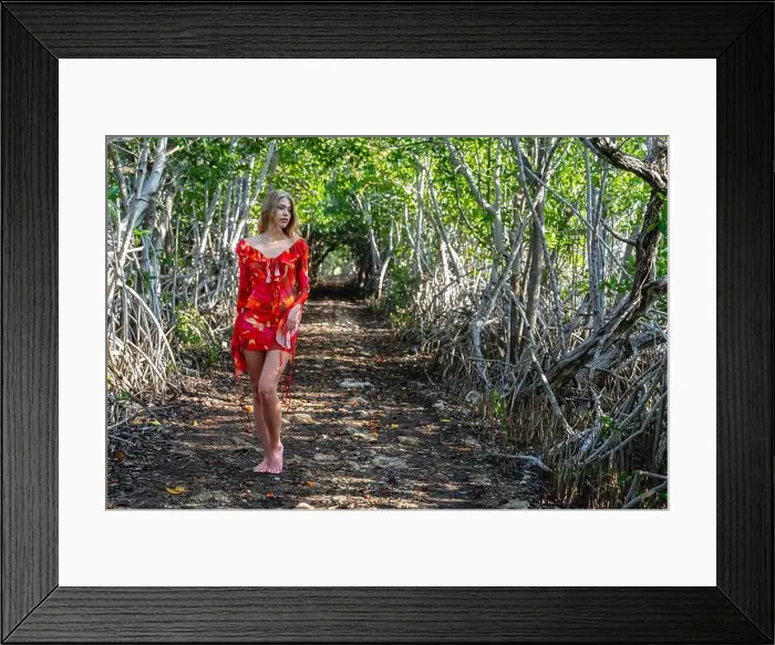 Framed Print : Mexican Mangrove Marvel: Stunning Model's Vacation Pose in Central Mexico's Natural Beauty Framed Print : Mexican Mangrove Marvel: Stunning Model's Vacation Pose in Central Mexico's Natural Beauty