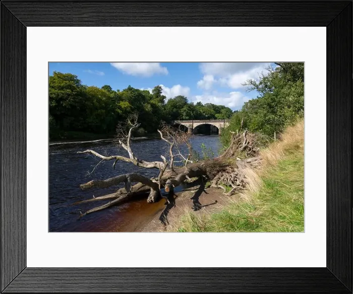 Framed Print : Crook o Lune in Lancashire, Northern England Framed Print : Crook o Lune in Lancashire, Northern England