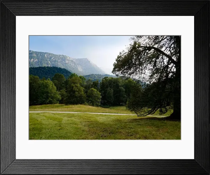 Framed Print : scenic alpine panorama with a large fir tree and the Bavarian Alps surrounded by the woods in late summer (Ettal)