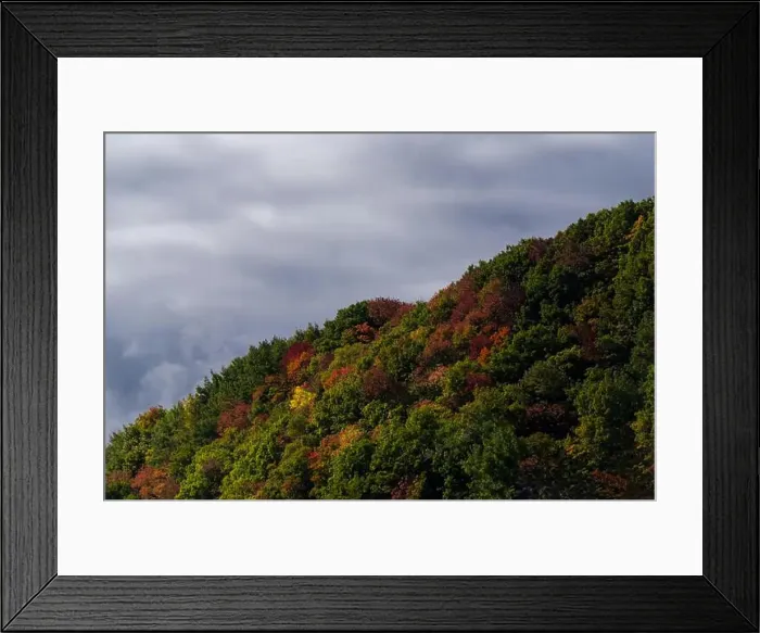 Framed Print : Autumnal Hill by Hwy 138 in Quebec Framed Print : Autumnal Hill by Hwy 138 in Quebec