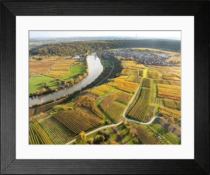 Framed Print : evergreen, coniferous, above, aerial Framed Print : evergreen, coniferous, above, aerial