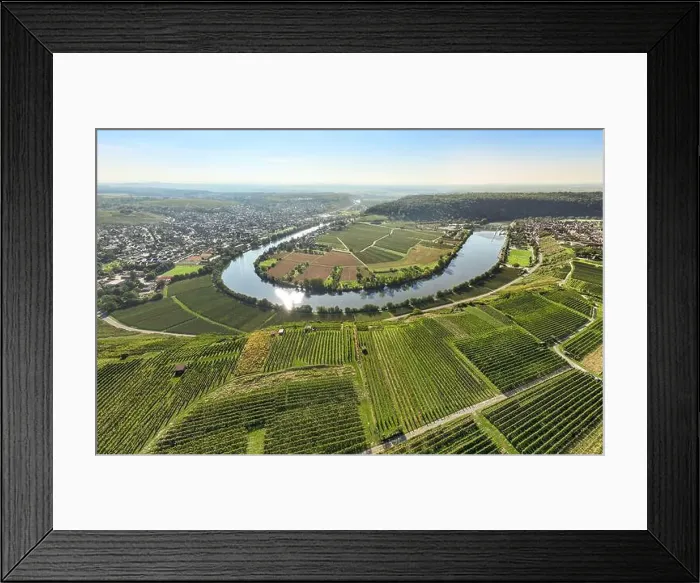 Framed Print : aerial view of the river loop in the Neckar Valley with its famous steep vineyards next to Mundelsheim Framed Print : aerial view of the river loop in the Neckar Valley with its famous steep vineyards next to Mundelsheim