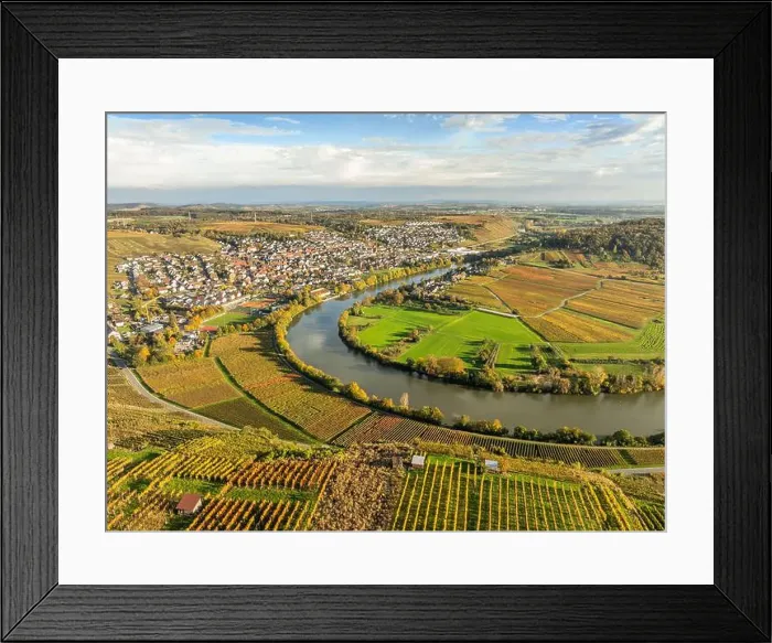 Framed Print : evergreen, coniferous, above, aerial Framed Print : evergreen, coniferous, above, aerial