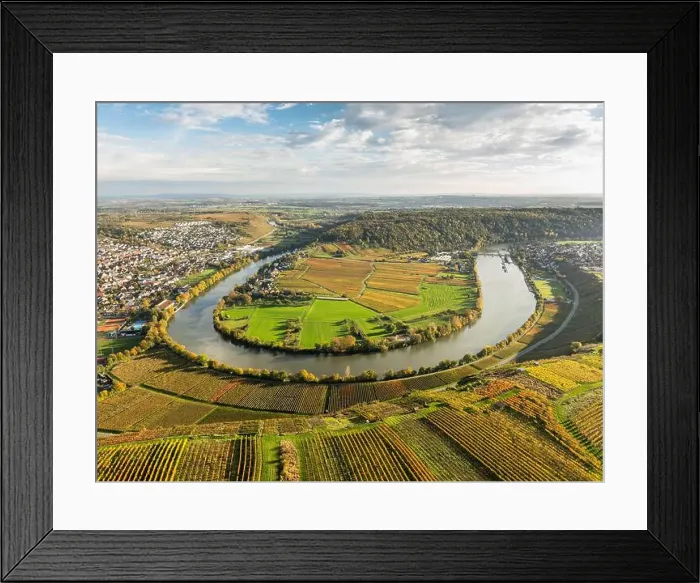 Framed Print : evergreen, coniferous, above, aerial Framed Print : evergreen, coniferous, above, aerial