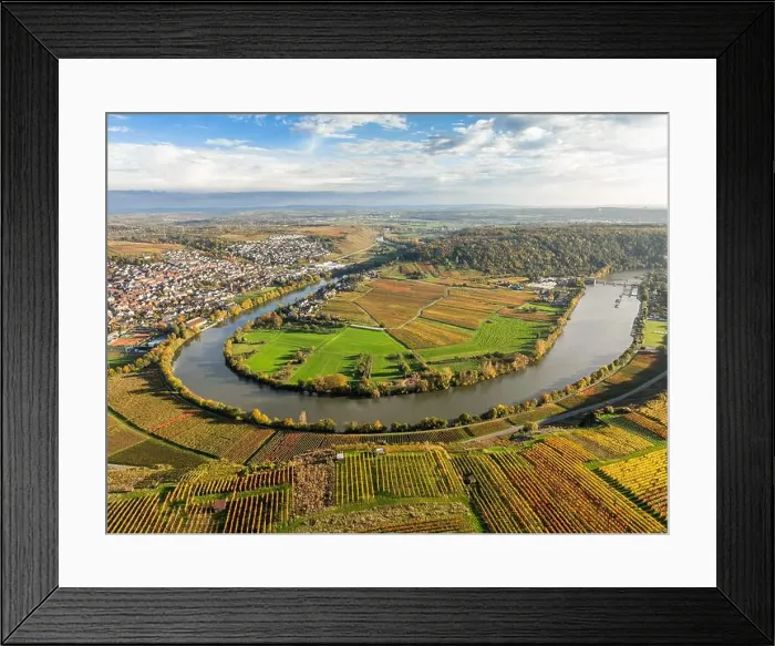 Framed Print : evergreen, coniferous, above, aerial Framed Print : evergreen, coniferous, above, aerial