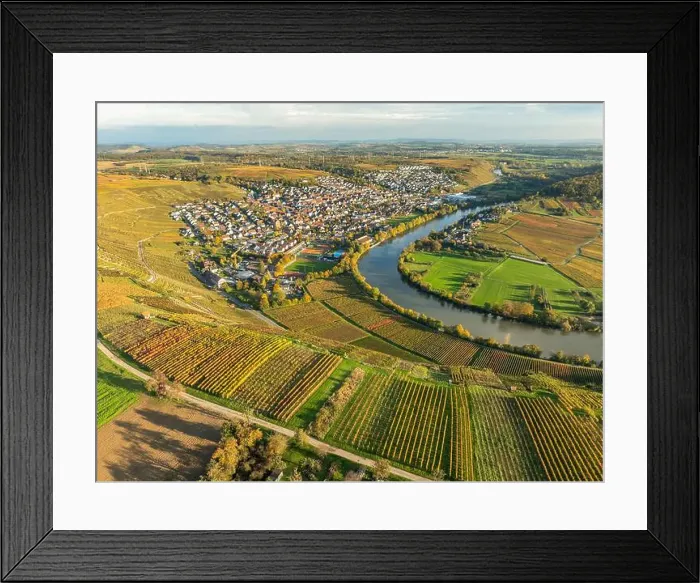 Framed Print : evergreen, coniferous, above, aerial Framed Print : evergreen, coniferous, above, aerial