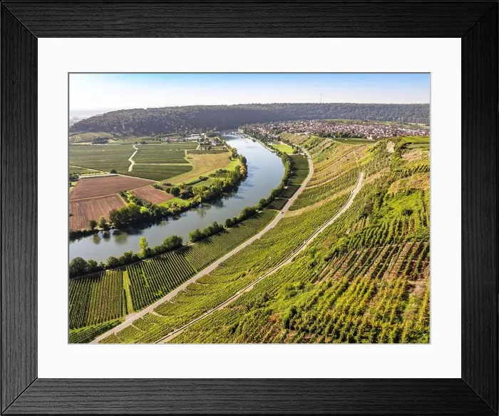 Framed Print : evergreen, coniferous, above, aerial Framed Print : evergreen, coniferous, above, aerial