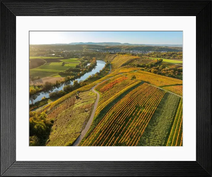 Framed Print : evergreen, coniferous, above, aerial Framed Print : evergreen, coniferous, above, aerial