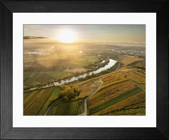Framed Print : evergreen, coniferous, above, aerial Framed Print : evergreen, coniferous, above, aerial