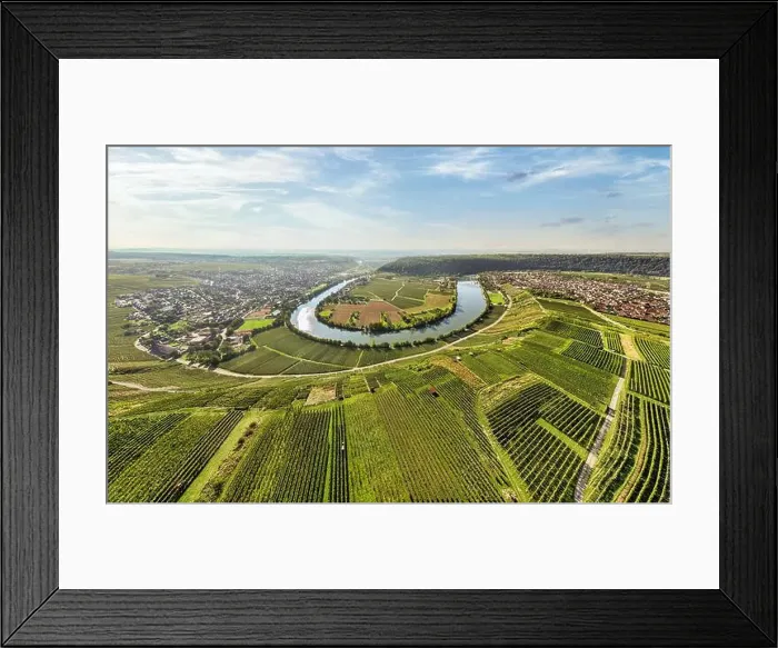 Framed Print : aerial view of the river loop in the Neckar Valley with its famous steep vineyards next to Mundelsheim Framed Print : aerial view of the river loop in the Neckar Valley with its famous steep vineyards next to Mundelsheim