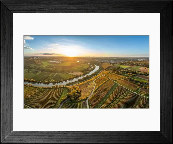 Framed Print : evergreen, coniferous, above, aerial Framed Print : evergreen, coniferous, above, aerial