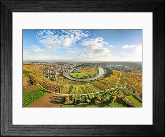 Framed Print : evergreen, coniferous, above, aerial Framed Print : evergreen, coniferous, above, aerial