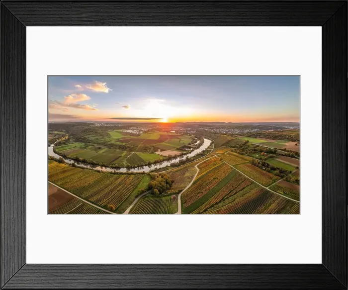 Framed Print : evergreen, coniferous, above, aerial Framed Print : evergreen, coniferous, above, aerial