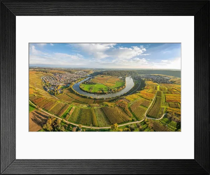 Framed Print : evergreen, coniferous, above, aerial Framed Print : evergreen, coniferous, above, aerial