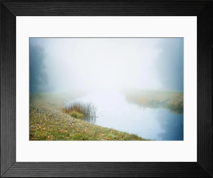 Framed Print : Riverbank with grass and sedge on calm water in the mist on an autumn morning Framed Print : Riverbank with grass and sedge on calm water in the mist on an autumn morning