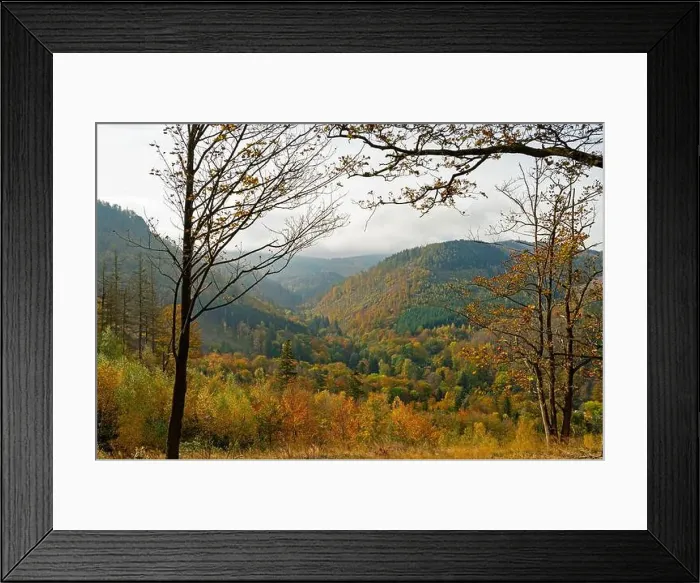 Framed Print : Thuringian Forest near Bad Tabarz in autumn Framed Print : Thuringian Forest near Bad Tabarz in autumn