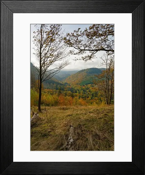 Framed Print : Thuringian Forest near Bad Tabarz in autumn Framed Print : Thuringian Forest near Bad Tabarz in autumn