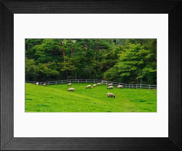 Framed Print : Nestled atop a 1, 400-meter (4, 600 ft) plateau in Yamanashi Prefecture's Southern Yatsugatake Volcanic Group Framed Print : Nestled atop a 1, 400-meter (4, 600 ft) plateau in Yamanashi Prefecture's Southern Yatsugatake Volcanic Group