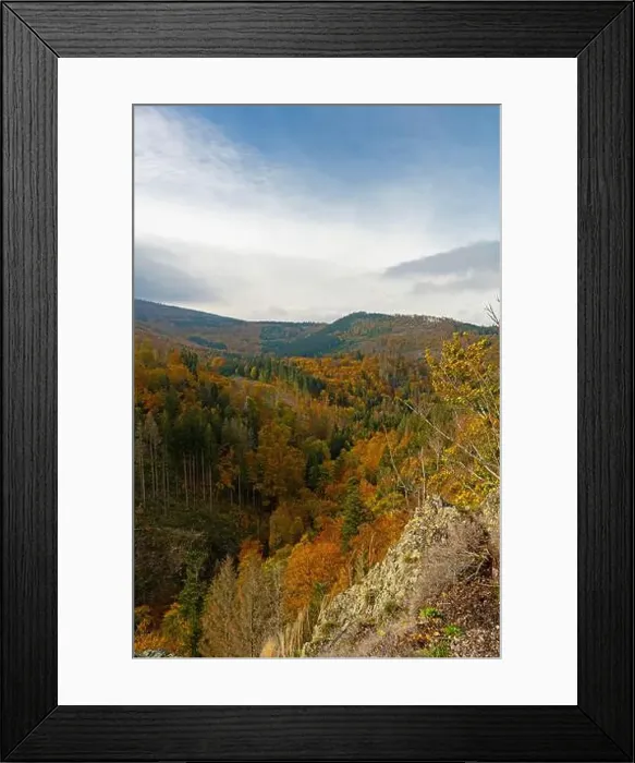 Framed Print : Thuringian Forest near Bad Tabarz in autumn Framed Print : Thuringian Forest near Bad Tabarz in autumn