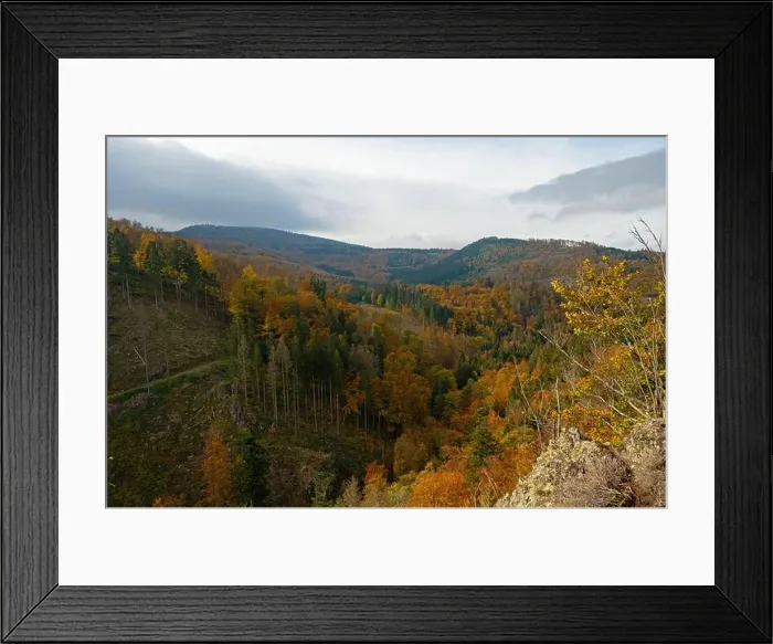 Framed Print : Thuringian Forest near Bad Tabarz in autumn Framed Print : Thuringian Forest near Bad Tabarz in autumn