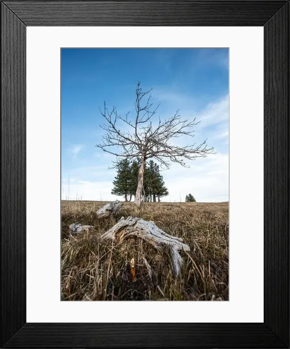 Framed Print : Black Forest Landscape Framed Print : Black Forest Landscape