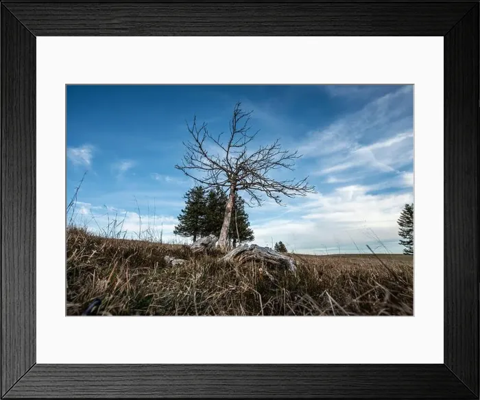 Framed Print : Black Forest Landscape Framed Print : Black Forest Landscape