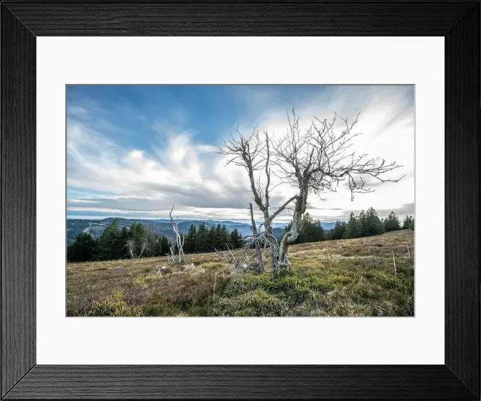Framed Print : Black Forest Landscape Framed Print : Black Forest Landscape