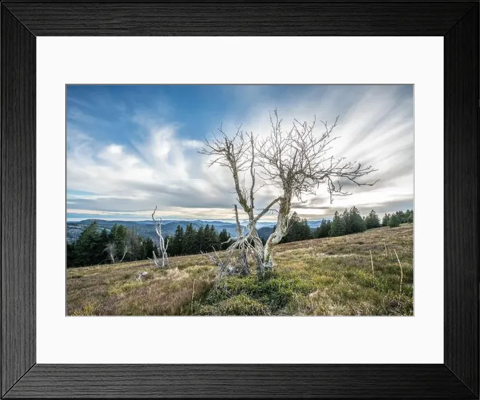 Framed Print : Black Forest Landscape Framed Print : Black Forest Landscape