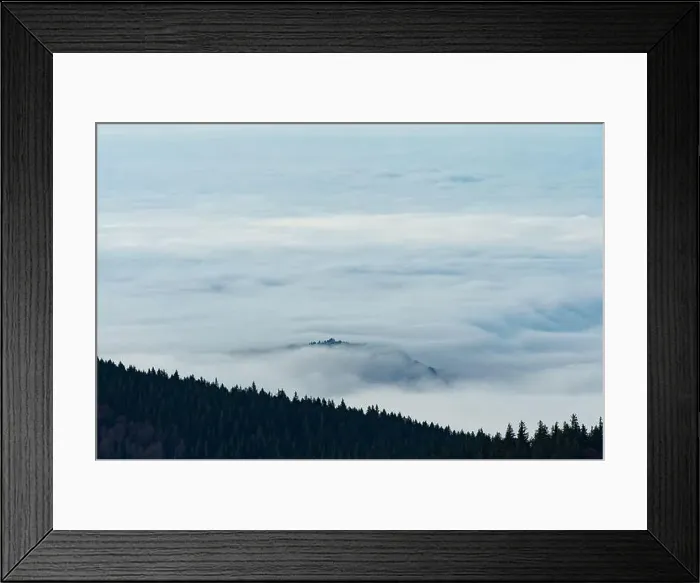 Framed Print : Black Forest Landscape Framed Print : Black Forest Landscape