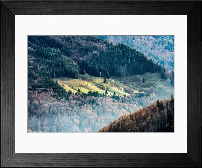 Framed Print : Black Forest Landscape Framed Print : Black Forest Landscape