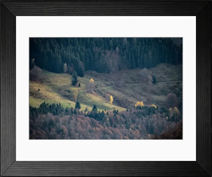 Framed Print : Black Forest Landscape Framed Print : Black Forest Landscape
