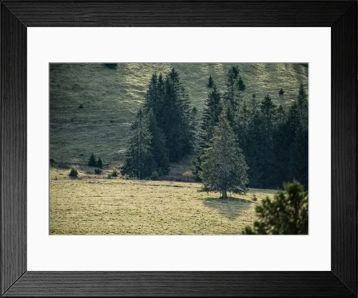 Framed Print : Black Forest Landscape Framed Print : Black Forest Landscape
