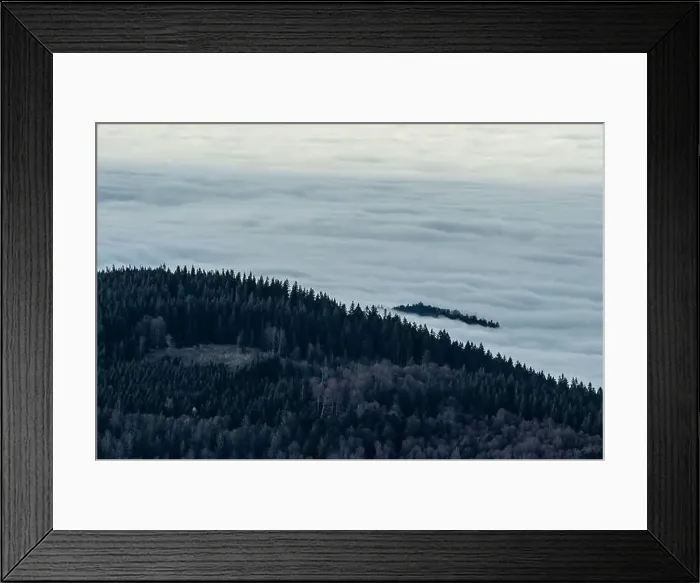 Framed Print : Black Forest Landscape Framed Print : Black Forest Landscape
