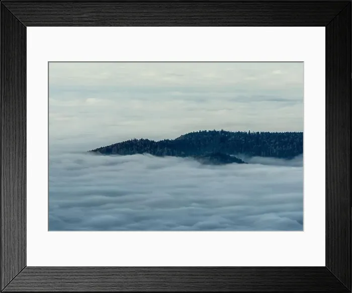 Framed Print : Black Forest Landscape Framed Print : Black Forest Landscape