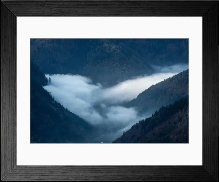 Framed Print : Black Forest Landscape Framed Print : Black Forest Landscape