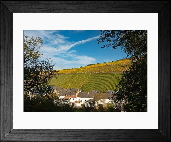Framed Print : view to the vineyards around the village Enkirch in the river moselle valley in Germany Framed Print : view to the vineyards around the village Enkirch in the river moselle valley in Germany