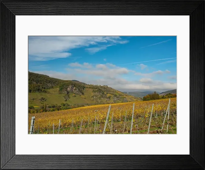 Framed Print : river moselle valley near Enkirch in Germany in autumn Framed Print : river moselle valley near Enkirch in Germany in autumn