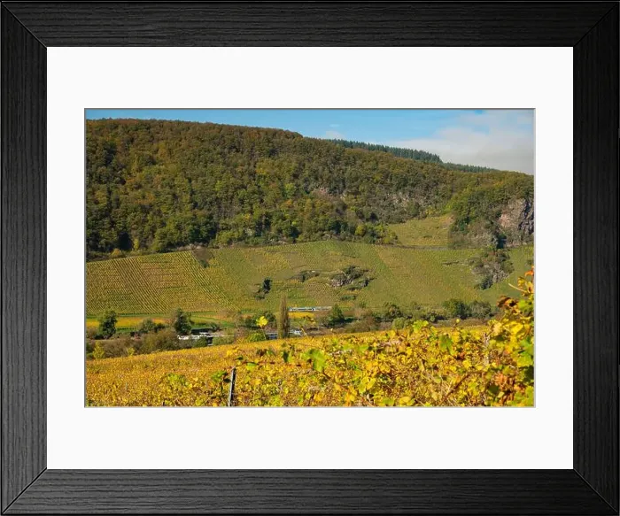 Framed Print : river moselle valley near Enkirch in Germany in autumn Framed Print : river moselle valley near Enkirch in Germany in autumn