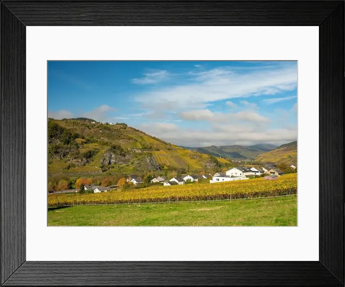 Framed Print : view to the village Burg in the river moselle valley near Enkirch in Germany in autumn Framed Print : view to the village Burg in the river moselle valley near Enkirch in Germany in autumn