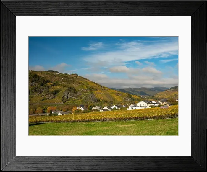 Framed Print : view to the village Burg in the river moselle valley near Enkirch in Germany in autumn Framed Print : view to the village Burg in the river moselle valley near Enkirch in Germany in autumn